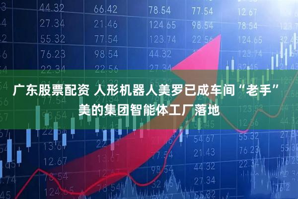 广东股票配资 人形机器人美罗已成车间“老手” 美的集团智能体工厂落地